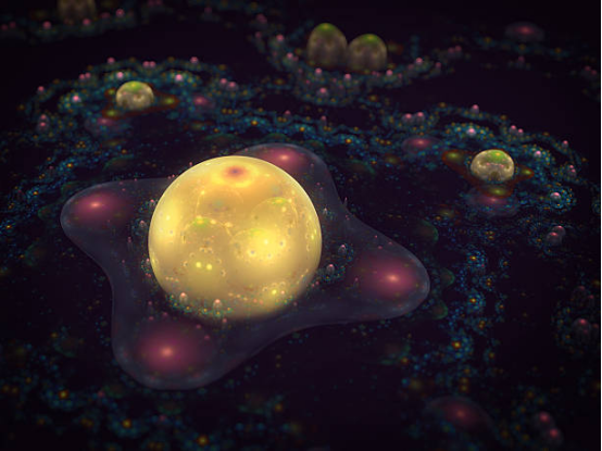 The Cosmic Choreography: Why Planets Orbit in a Single Plane