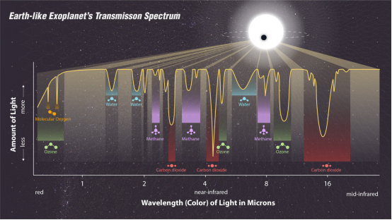 The Ultimate Guide to Finding Extraterrestrial Life: From Biosignatures to Technosignatures